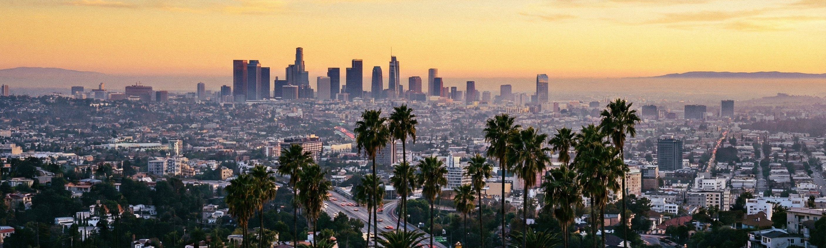 Los Angeles Skyline